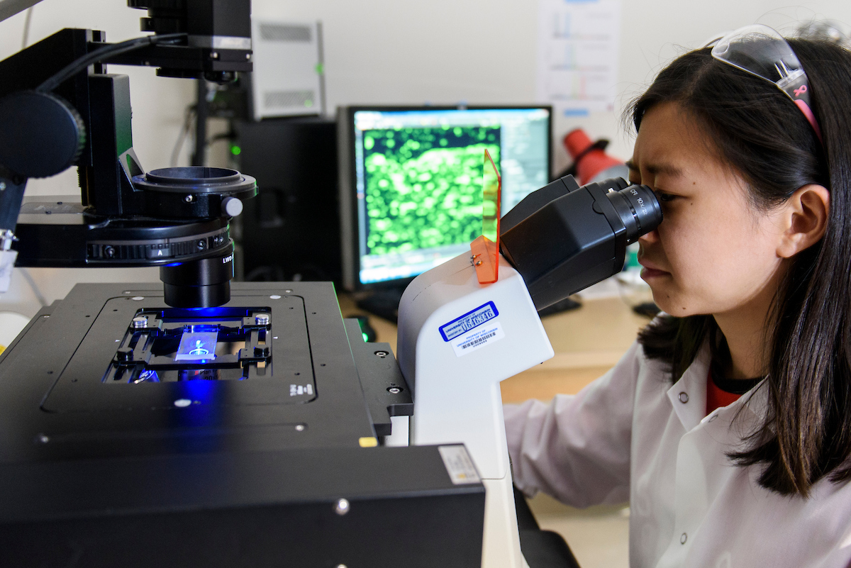 A female researcher looks through a microscope.