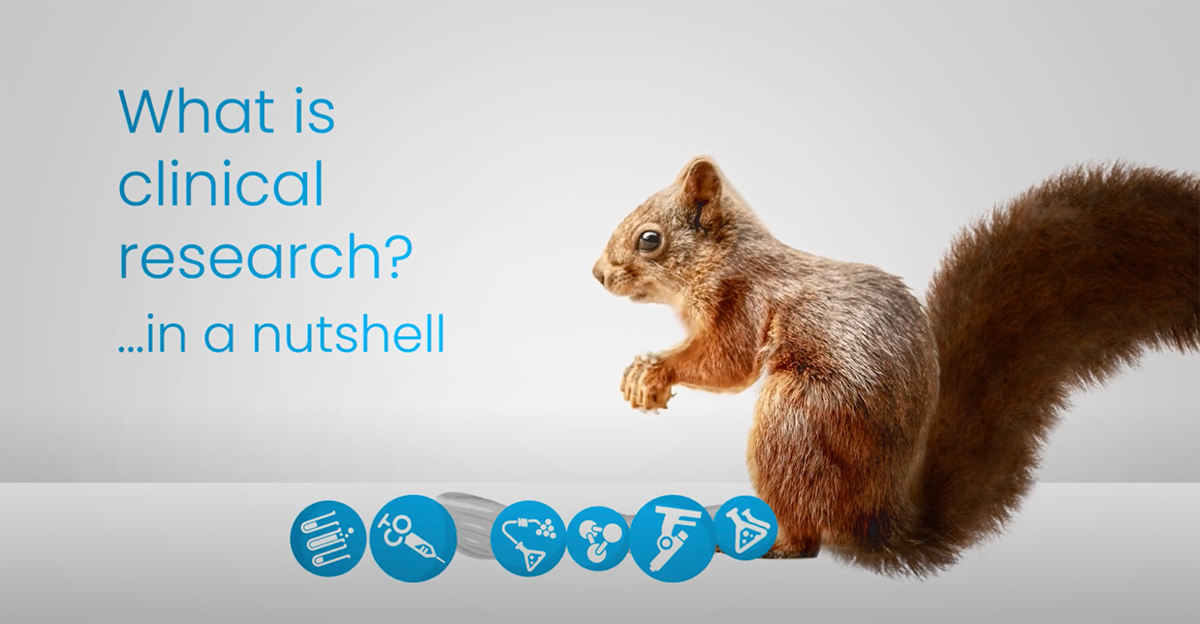 Graphic of a squirrel and research-based icons.