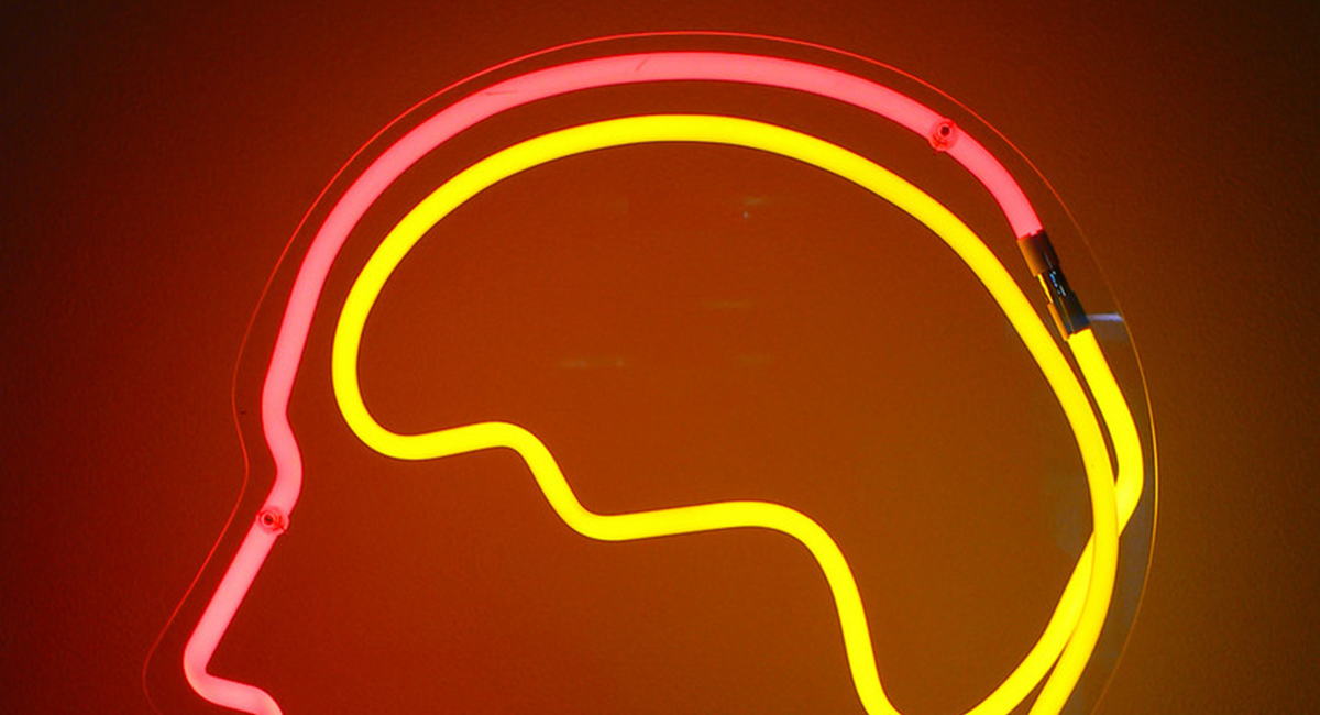 An outline of a head and brain in neon