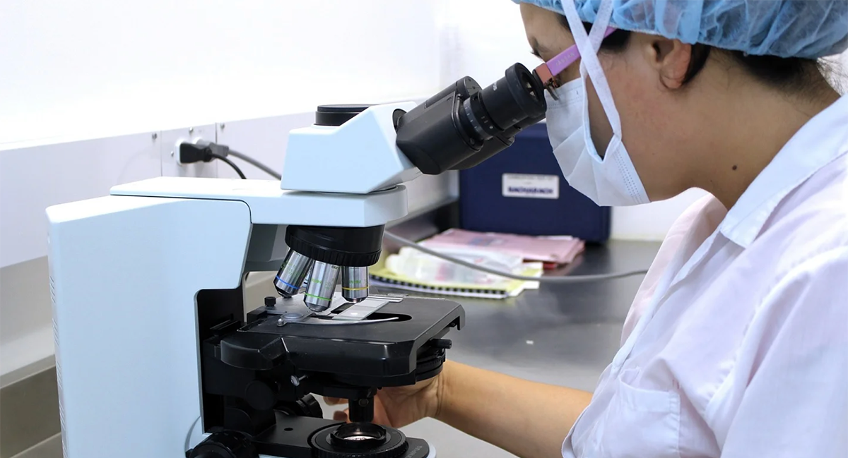 A researcher looks through a microscope in a lab.