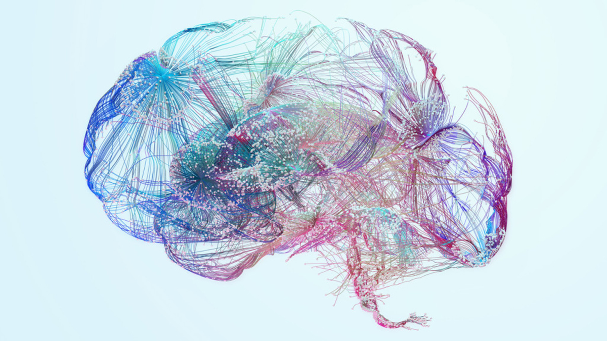 Colorful illustration of a human brain