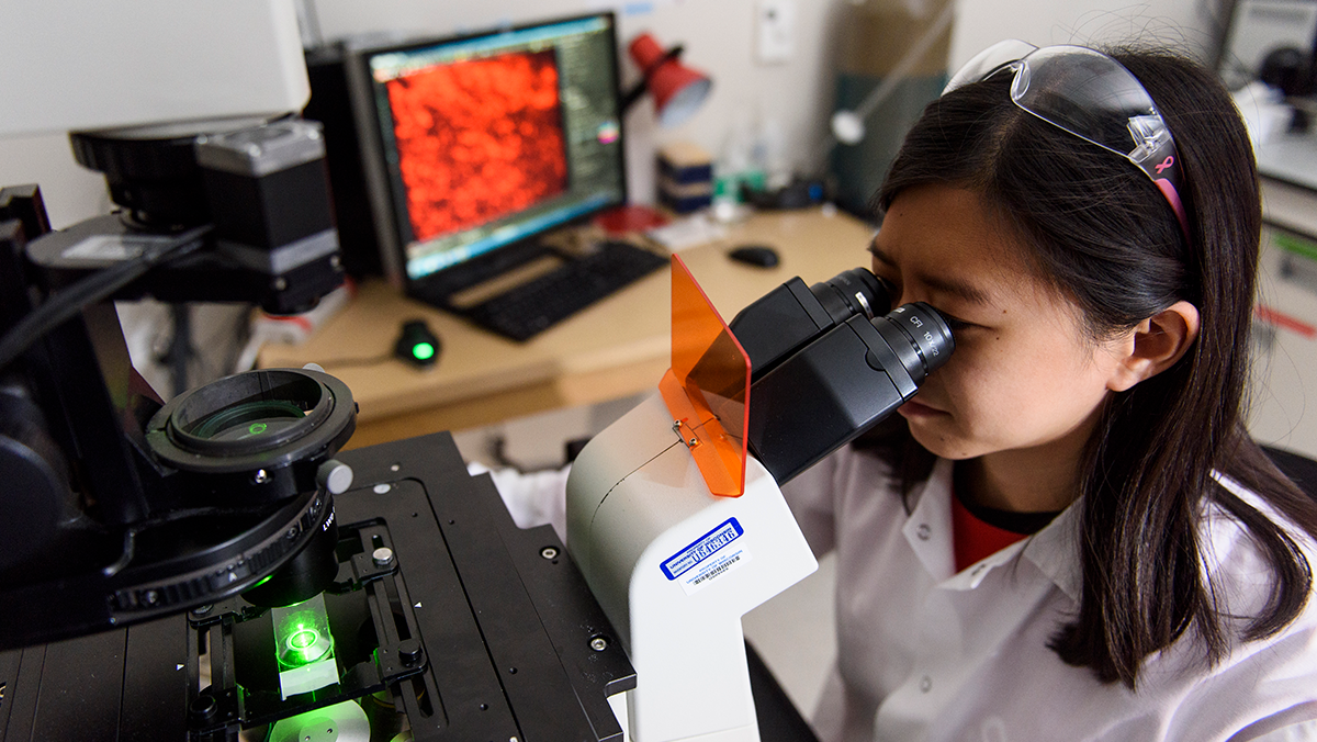 A researcher looking through a microscope.