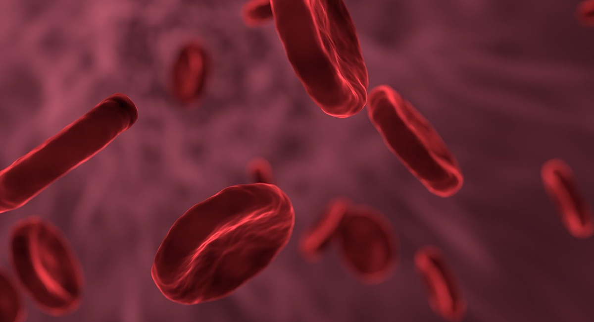 Microscopic view of red blood cells.