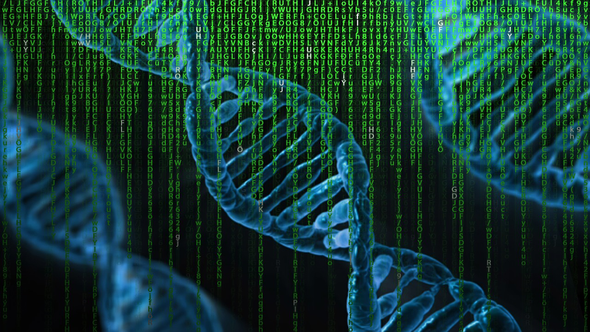 DNA strands on top of coding language.